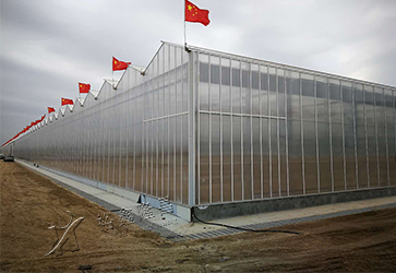 Lanzhou New District Modern Agriculture Demonstration Park Glass Greenhouse Project