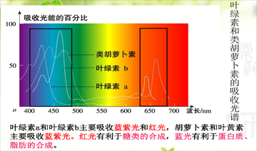 裕鑫隆昌