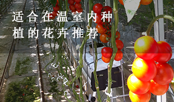 裕鑫隆昌