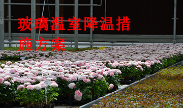 裕鑫隆昌