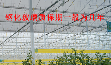 裕鑫隆昌