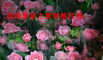 裕鑫隆昌