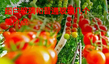 裕鑫隆昌