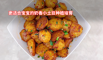 裕鑫隆昌