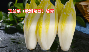 裕鑫隆昌