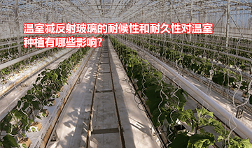 裕鑫隆昌
